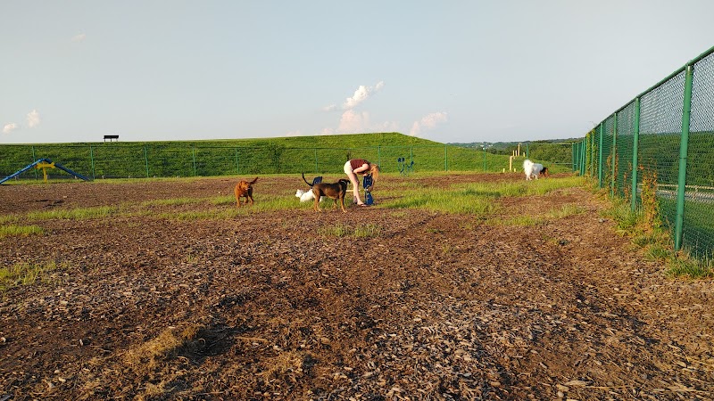 Abingdon Dog Park