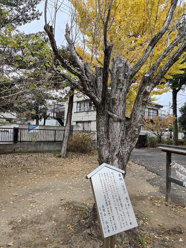 さだまさし植樹の木