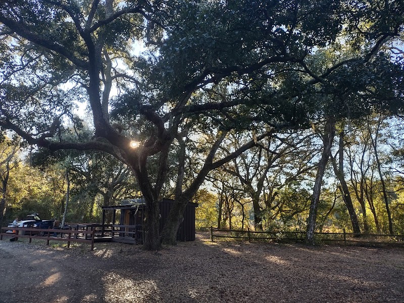 Withlacoochee River Park Small Playground