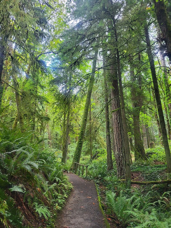 Squaxin Park (Priest Point)