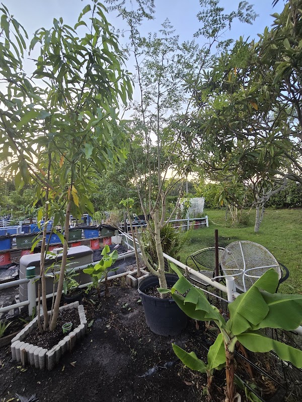 Kings Point Community Garden