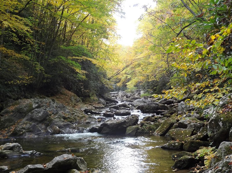 Shining Creek Path Trail Head