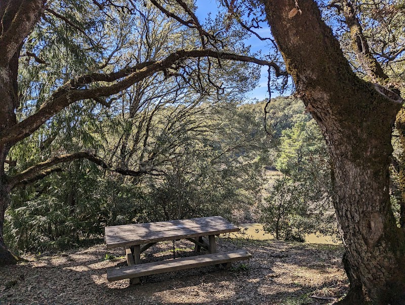 Horseshoe Loop Trail Head