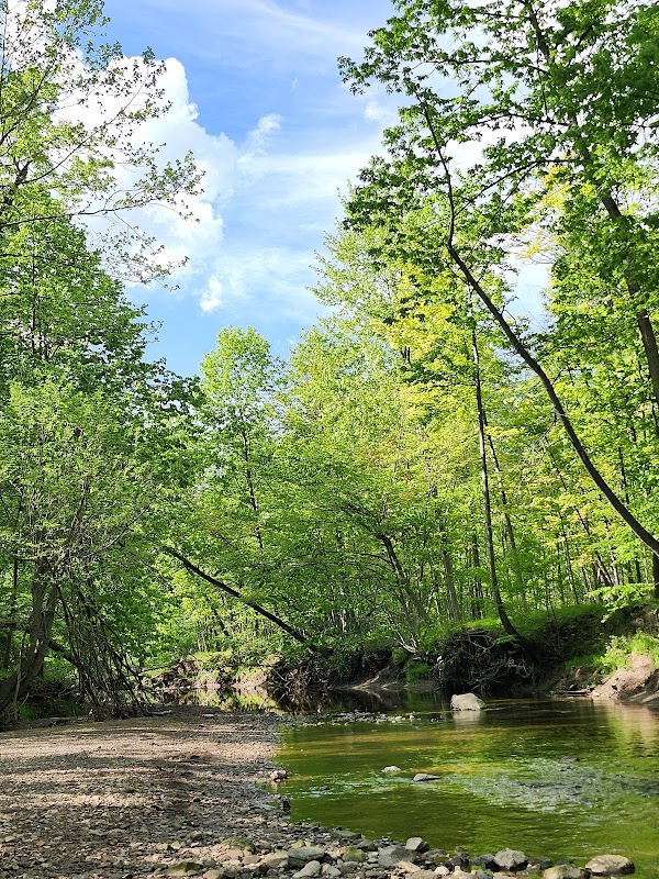 Lower Fern Hill Picnic Area