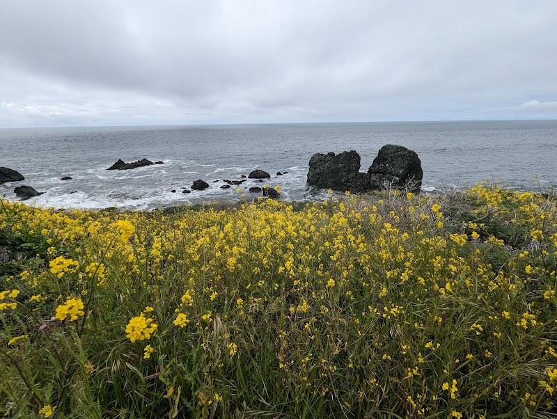 Tidepool Trail