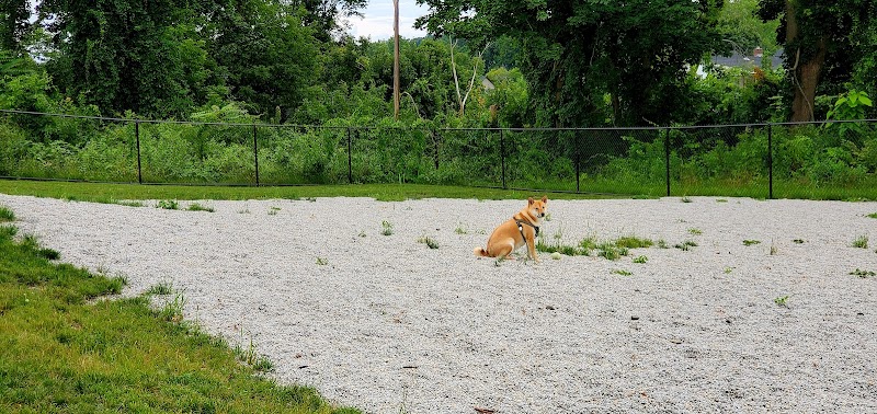 Webster Dog Park