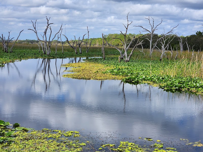 Orlando Wetlands