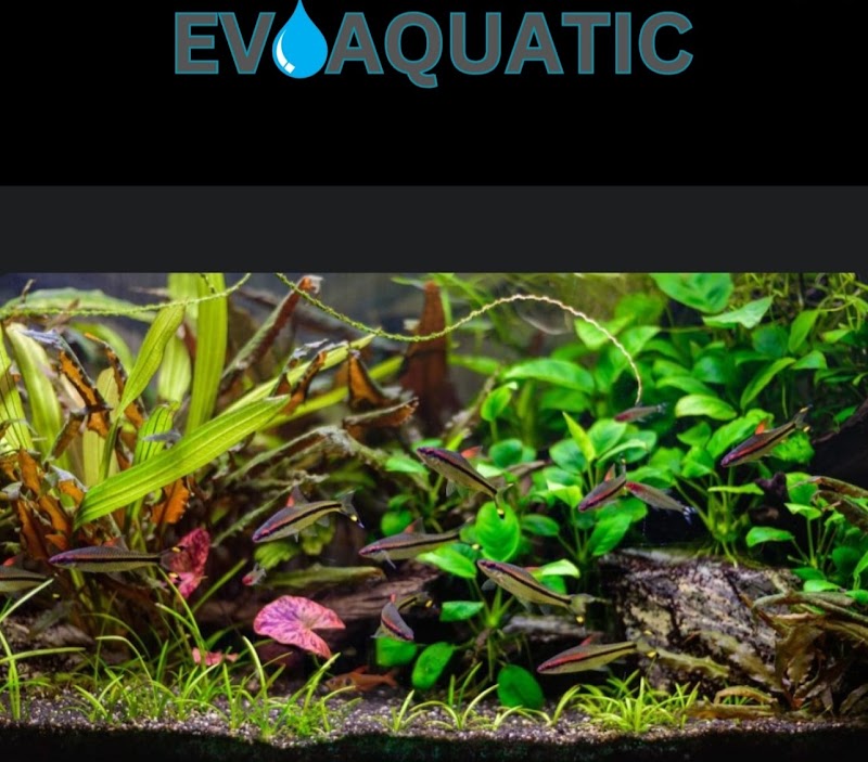 Evoaquatic