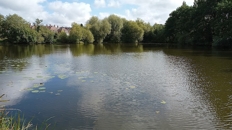 Midway Fishponds