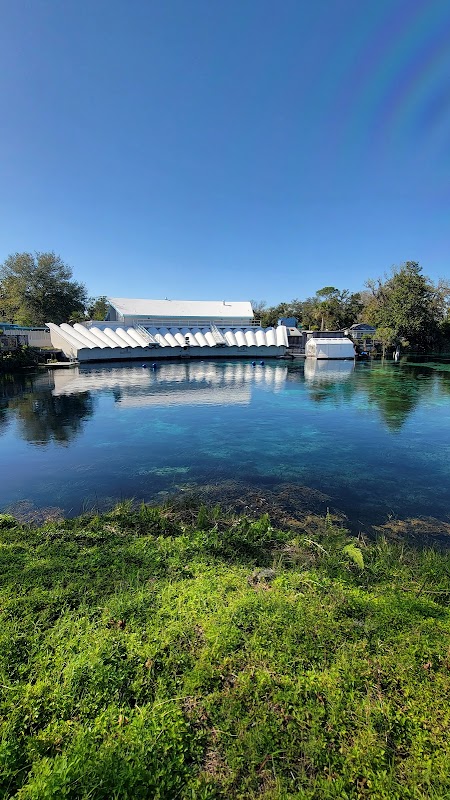 Friends of Weeki Wachee