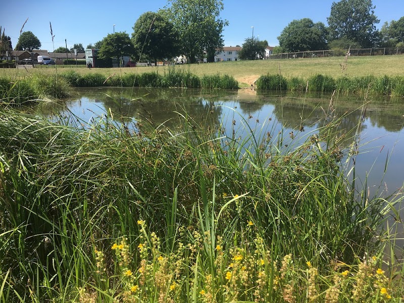 Bilborough Park