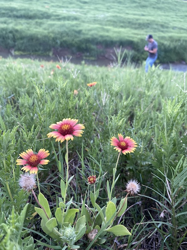 Halls Bayou Greenway
