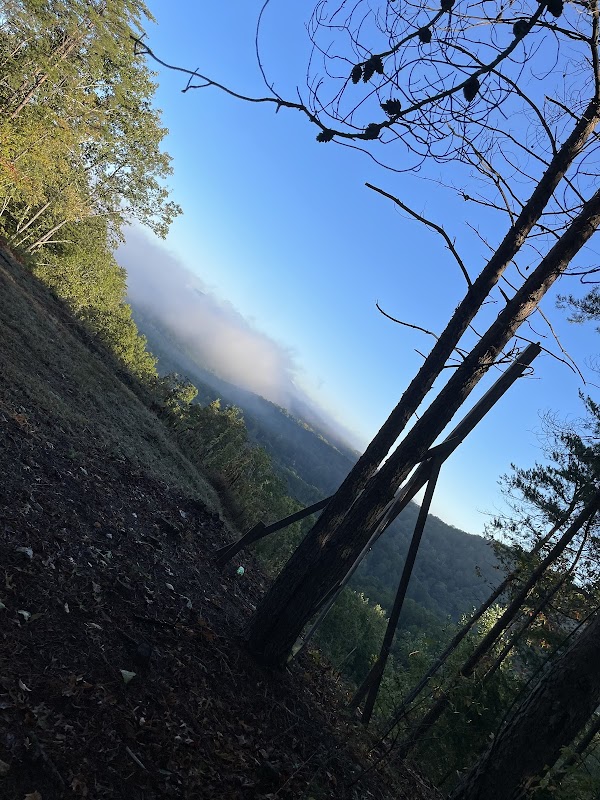 Talking Rock Wildlife Management Area