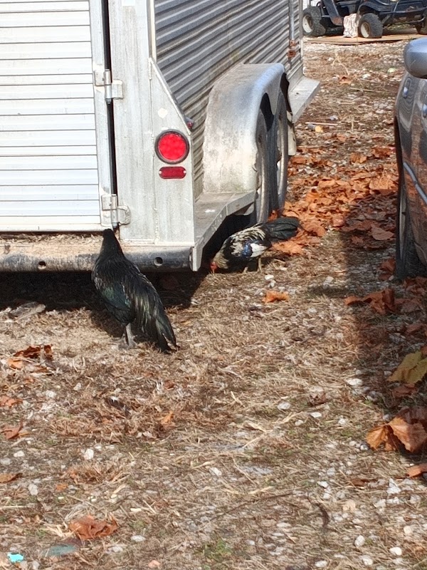 Little Washington Neighborhood Park