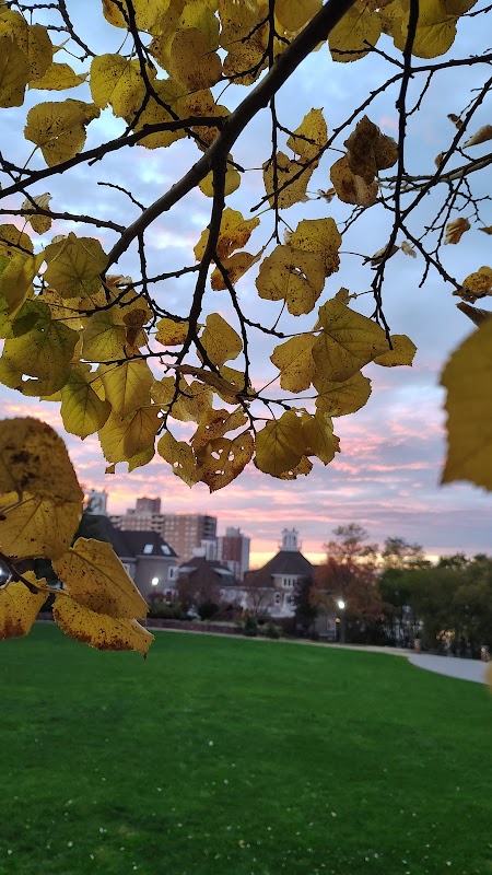 Riverside Gardens Park