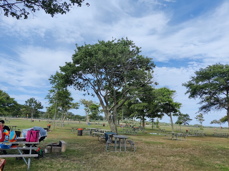 Field 6 Picnic Area