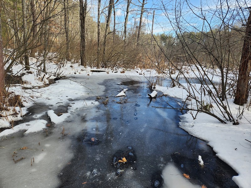 Pelham Schools Natural Area