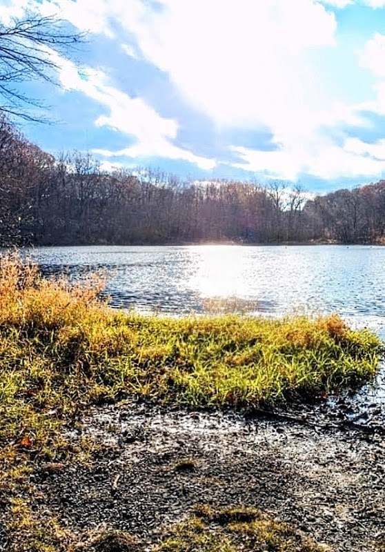 Cheesecote Mountain Town Park