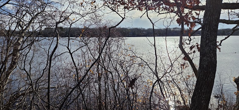 Wolf Swamp Sanctuary