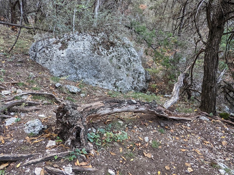 West Bull Creek Greenbelt