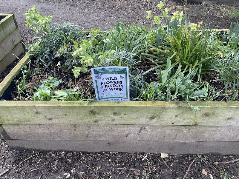 Sutton Town Centre (High Street)