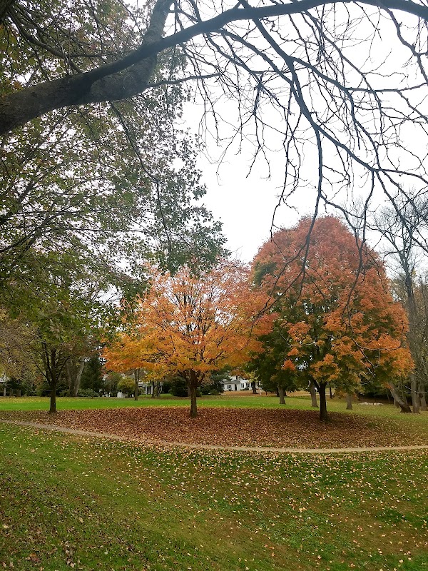 James C. Dittmar Park