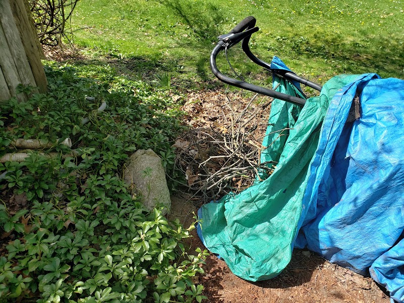 Wilfred J. Turenne Wildlife Habitat