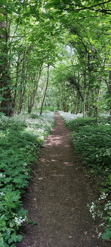 Bulwell Hall Park