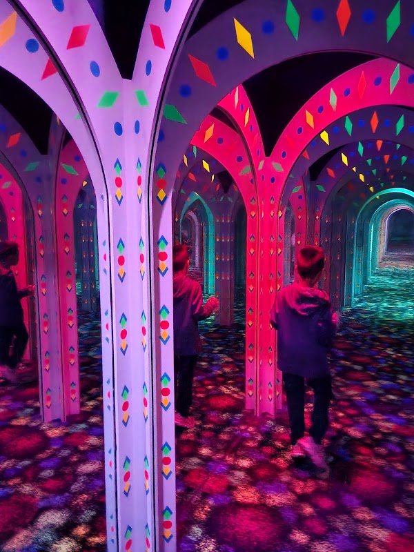 Amazing Mirror Maze