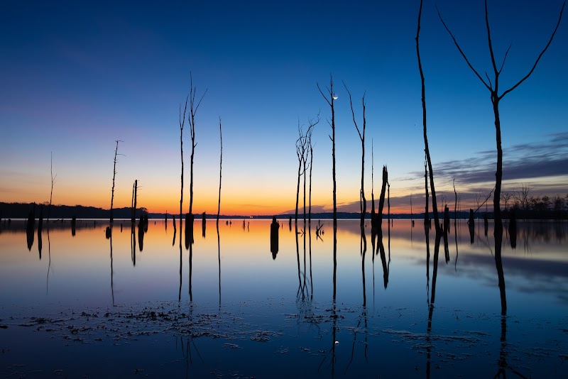 Chestnut Point Manasquan Reservoir