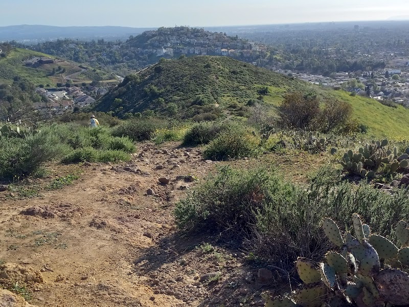 El Modena Open Space