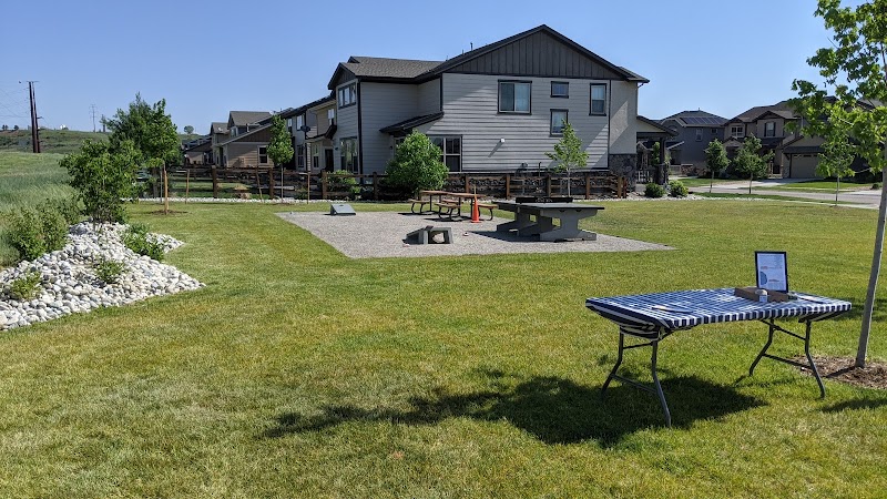 Leyden Rock Ping Pong Park