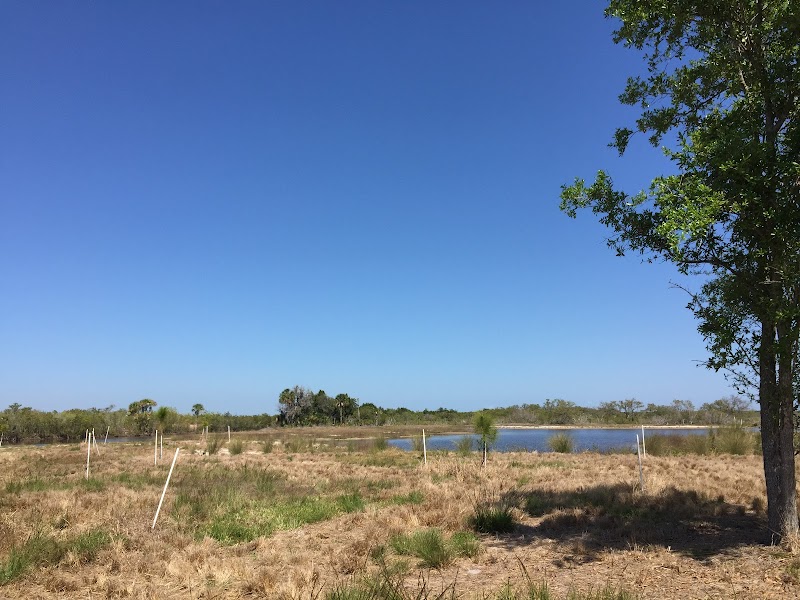 Tampa Bay Estuarine Ecosystem Rock Ponds Area