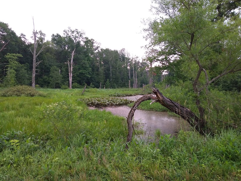 Assunpink Wildlife Management Area