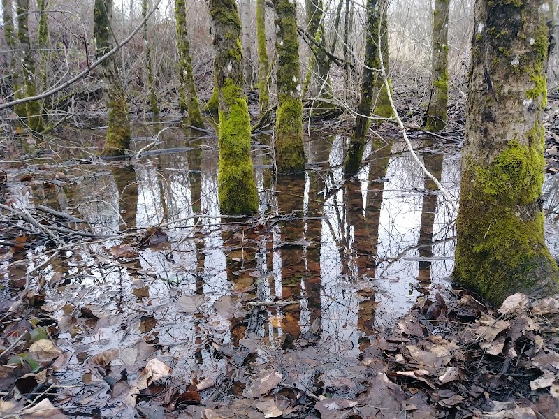 Beggars Tick Wildlife Refuge