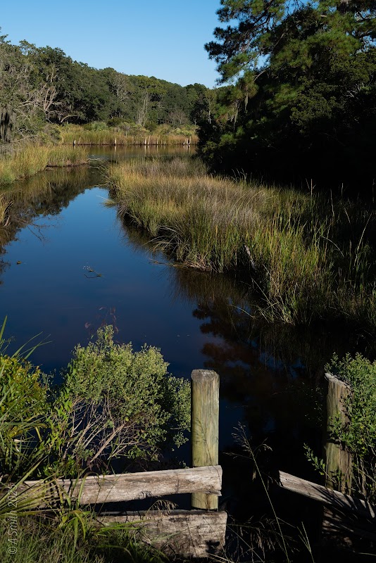 Clubhouse Pond