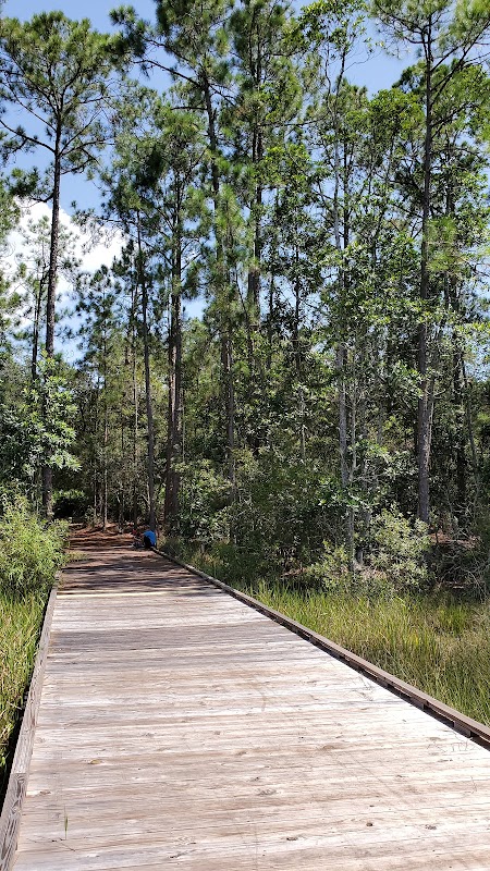 Lake Lizzie Conservation Area South Trailhead