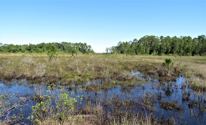 Lake Lizzie Conservation Area South Trailhead