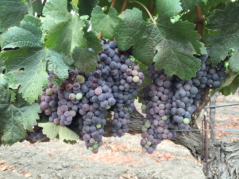 Fleury Estate Winery