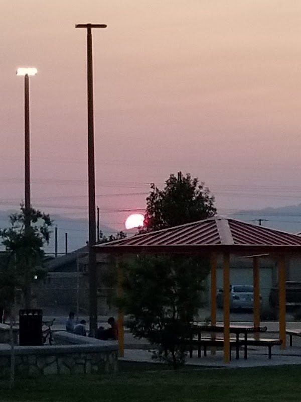 Eddy Hirby Beard Park