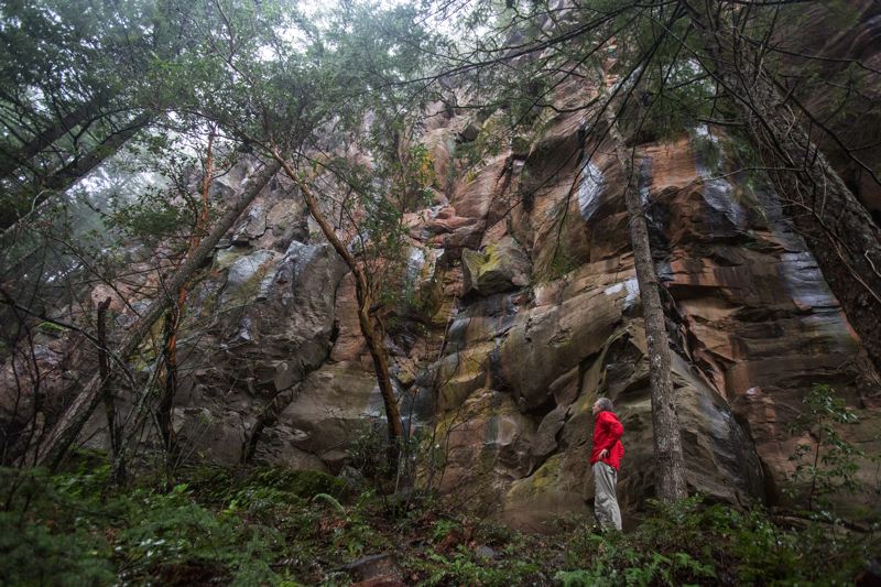 Madrone Wall Park and Climbing Area