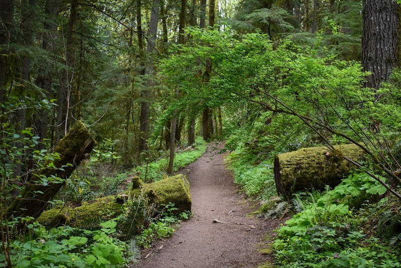 Forest Park