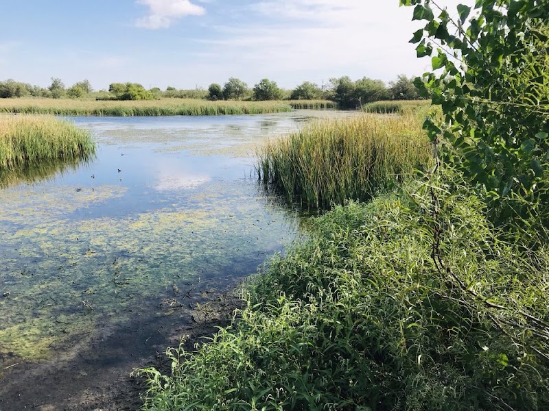 Watersong Wild Space