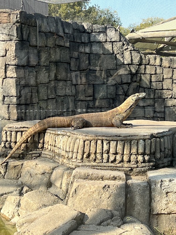 ARVEST Wildlife Carousel