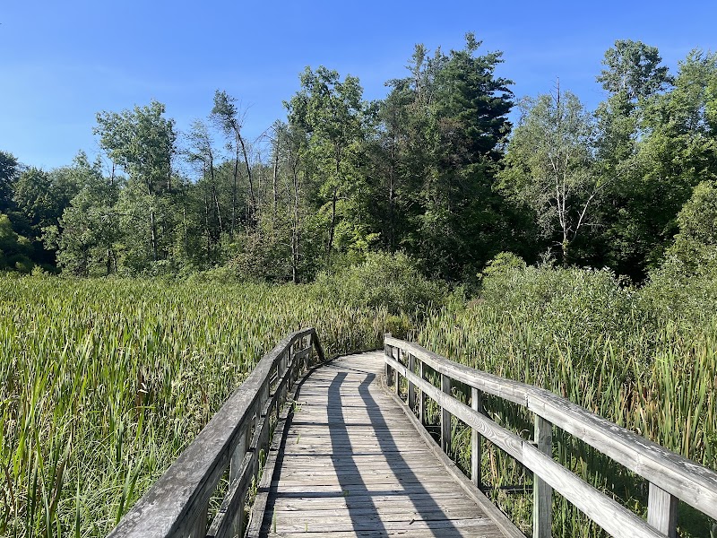 Scenic Boardwalk Outlook