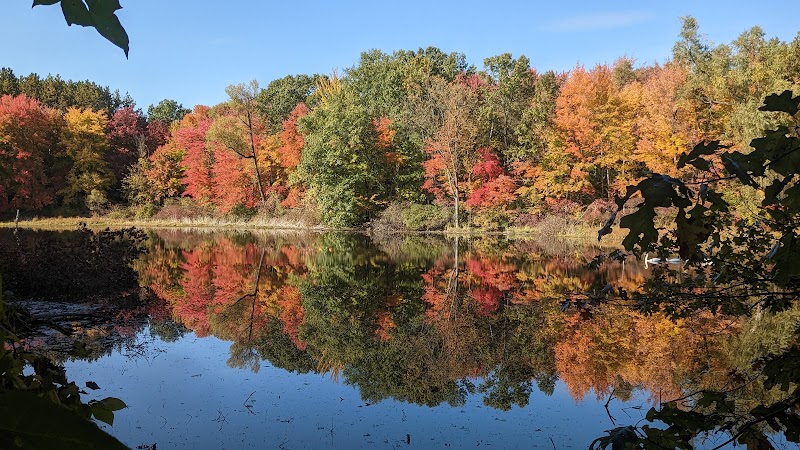 Scenic Boardwalk Outlook