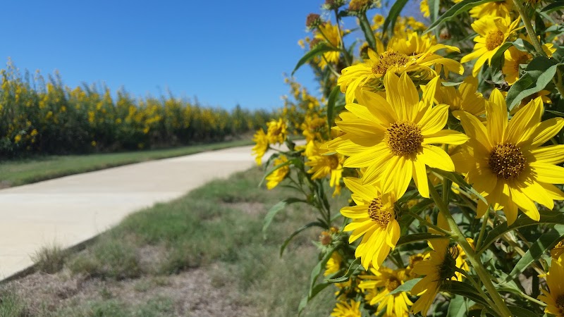 Bluestem Park at Alliance Town Center