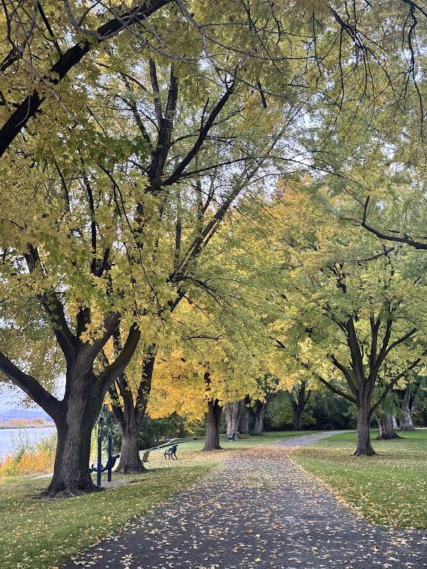 Chiawana West End Park