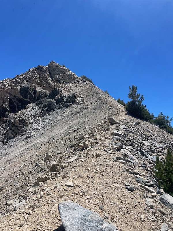 Dragons Head