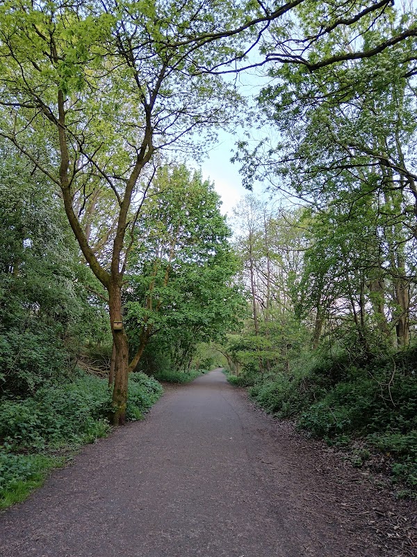 The Wheelock Branch Line